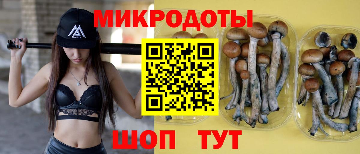 Будённовск  Галлюциногенные грибы MAGIC MUSHROOMS  Вход с VPN 